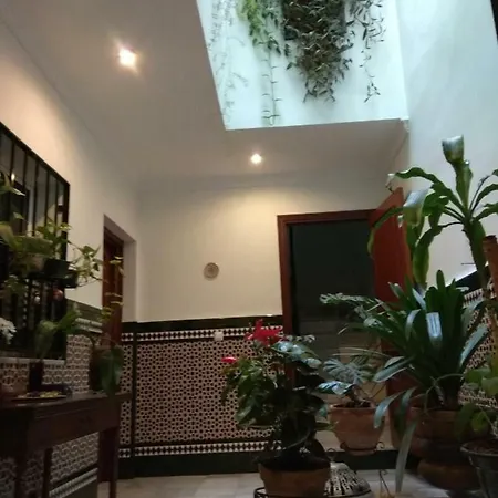 Oasi Macarena Apartment *