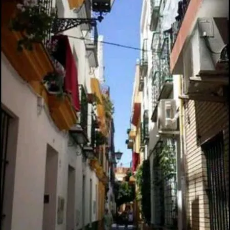 Oasi Macarena Seville